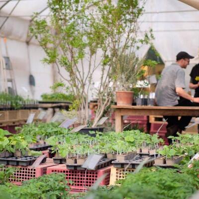 #<CrowdReward:0x00007f8ef9eeeed8>