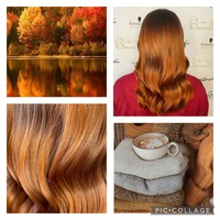 Gallery Foto
