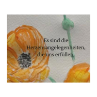 Gallery Foto