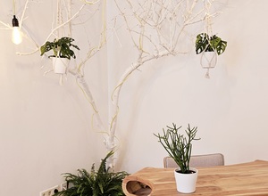 Gallery Foto