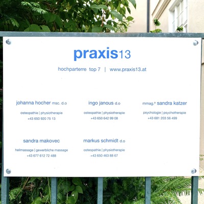 praxis13