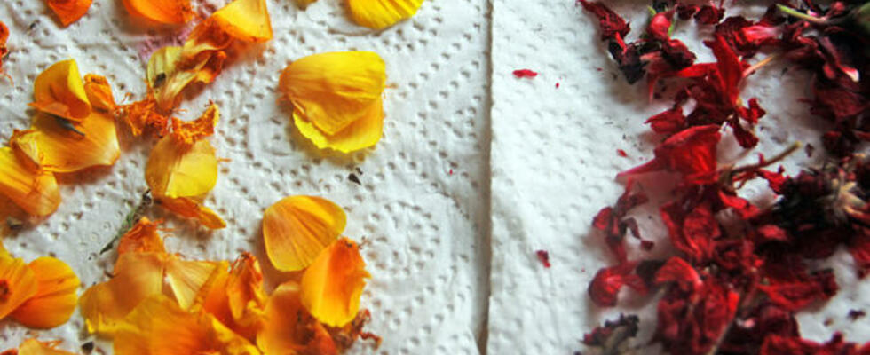 Malen mit Farben aus der Natur für Erwachsene