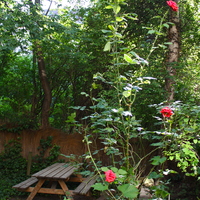 Gallery Foto