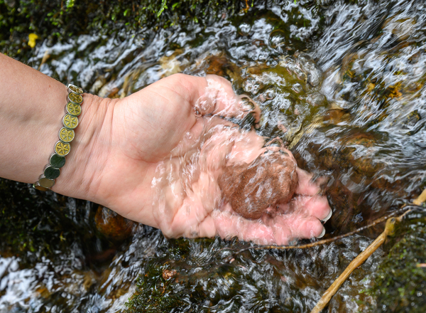 Manuela Eibensteiner `s Schöpfungsbilder aus dem Mühlviertel 