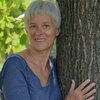 Qigong zwischen Himmel und Erde
