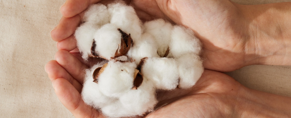 Frauenkreis: Kraftort Körper & Selbstliebe