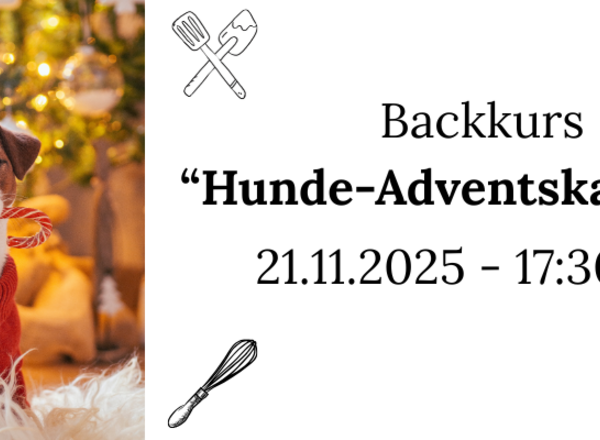 Hundeleckerli Backkurs
