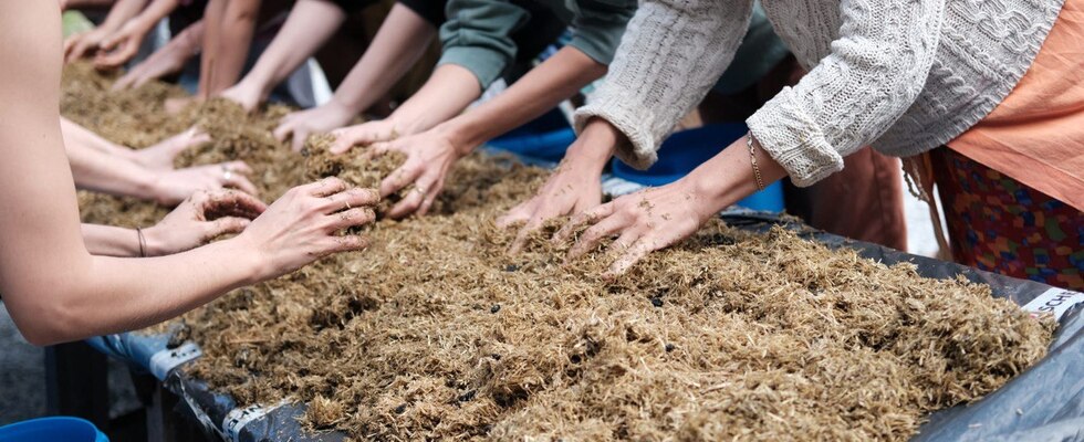 MAKE ROOM FOR SHROOM - A hands-on workshop for growing mushrooms — and rooting yourself.