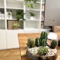 Gallery Foto