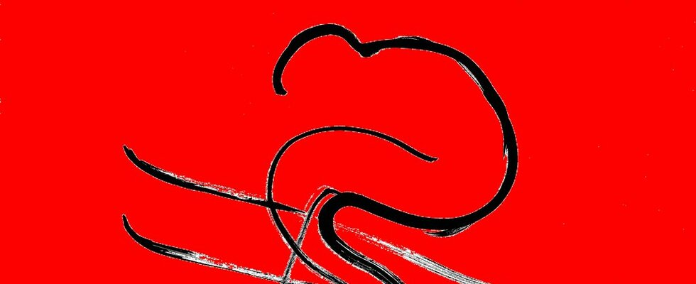 Ausstellung "wö Schifoan is des leiwandste..." 29.01.-29.02.2016 im Grätzelzentrum 