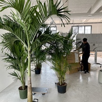 Gallery Foto