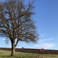 Gallery Foto