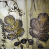 Doris Reinbacher