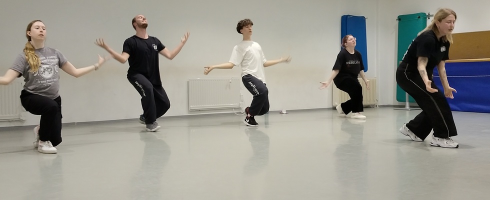 Commercial Showdance - Schnupperstunde