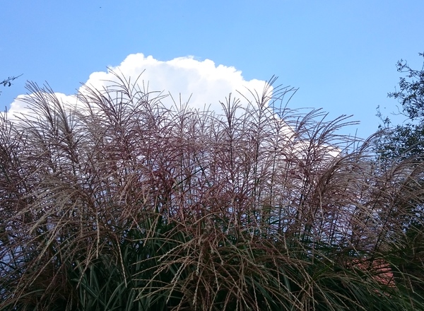 HIMMEL - ERDE - MENSCH