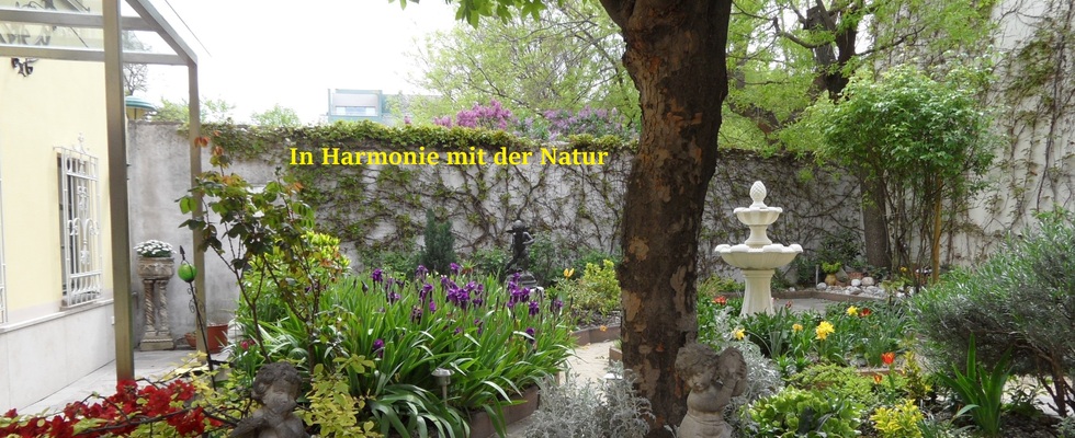 3. Bezirk (Rochusmarkt) in einem ruhigen, blumengeschmückten, wunderbaren  Innenhof 