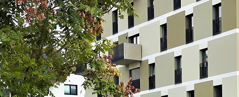 Tag der offenen Wohnprojekte - Que[e]rbau Seestadt