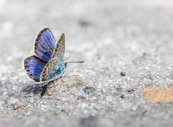 Stress-lass-nach-Flow