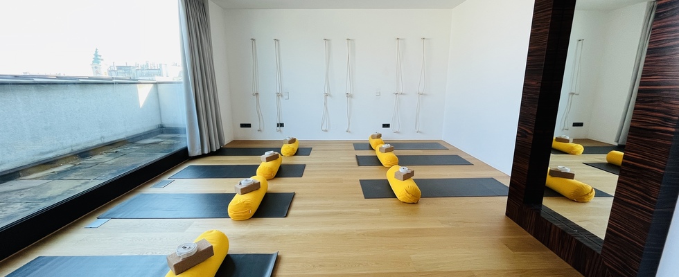 Vollausgestatteter Yoga-, Bewegungs- und Praxisraum mit Weitblick