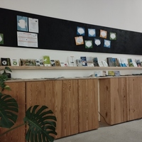 Gallery Foto