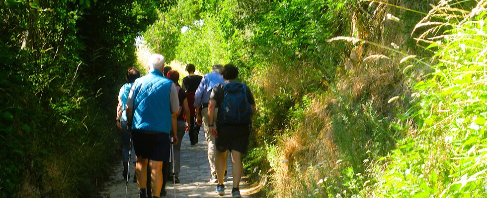 Komm zum Wiener Weinwandertag und merke dir vor!