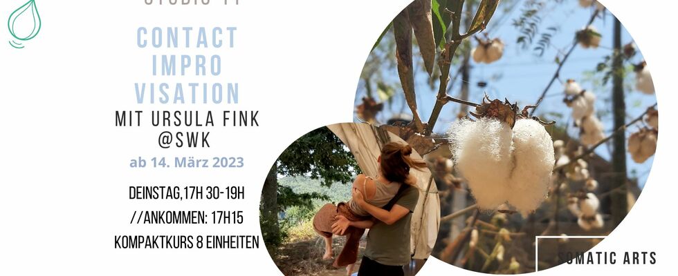 Contact Improvisation Kompaktkurs
