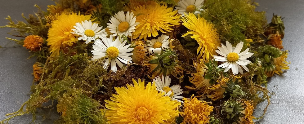 Kleine Pflanzerei