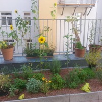 Wunderschöner Gruppenraum für Seminare, Yoga, Körperarbeit, 