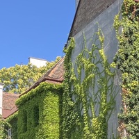 Gallery Foto
