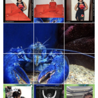 Gallery Foto