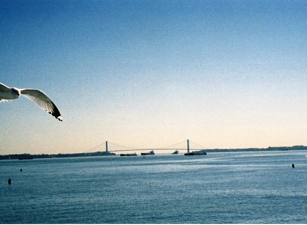 Verein writersstudio