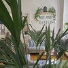 Body and Mind Garden Yoga- und Pilates-Studio