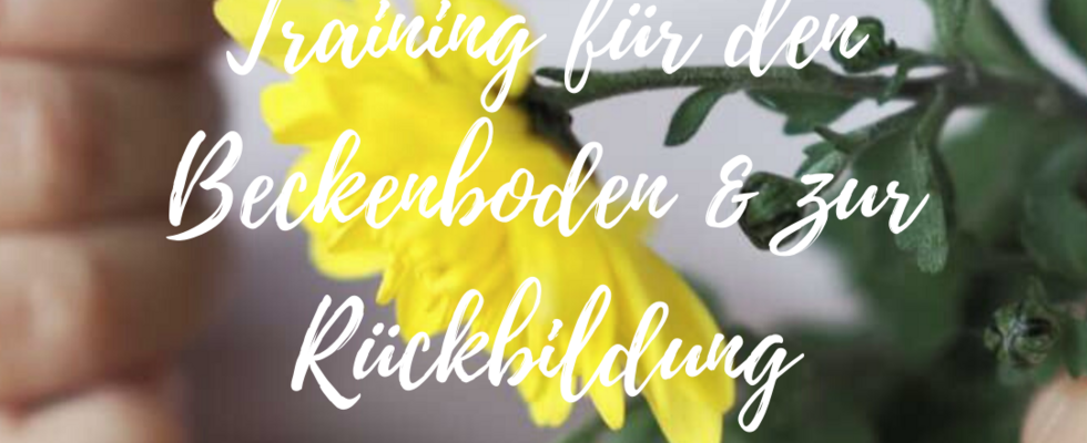 Training für den Beckenboden & zur Rückbildung