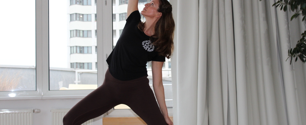 Yoguardian - Vinyasa Flow Yoga