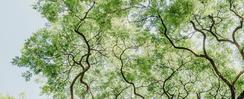 Psychotherapie, Paartherapie & Coaching