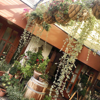 Gallery Foto