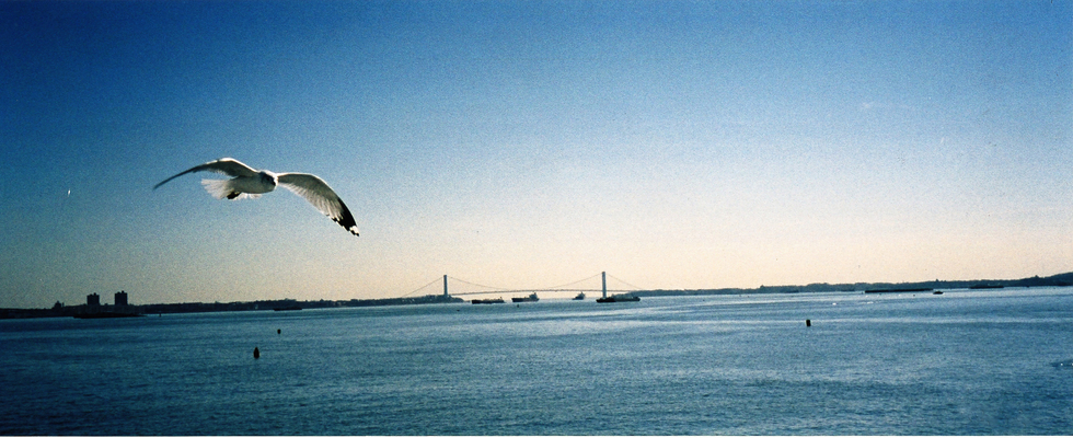 Verein writersstudio