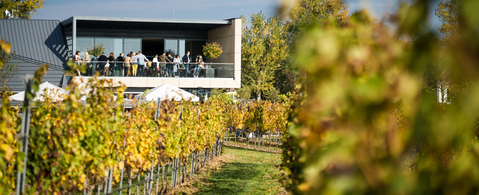 Share this event Leithaberg und mehr: Ein Abend mit dem Weingut Esterházy