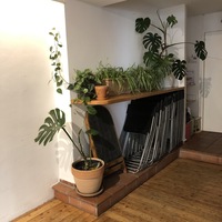 Gallery Foto