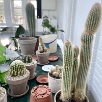 Gallery Foto