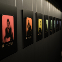 Gallery Foto