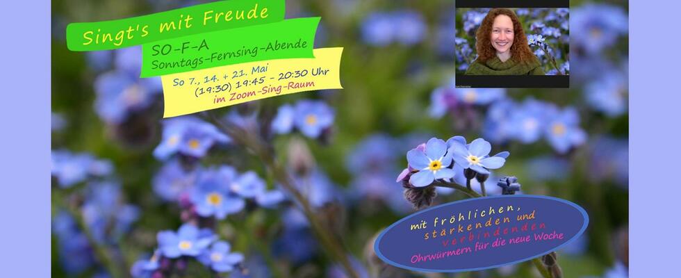 SO-F-A Sonntags-Fernsing-Abend