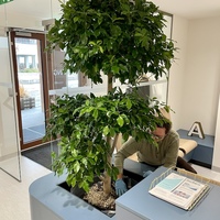 Gallery Foto