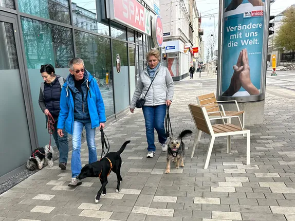 Hundetraining mit Roya – Foto 8