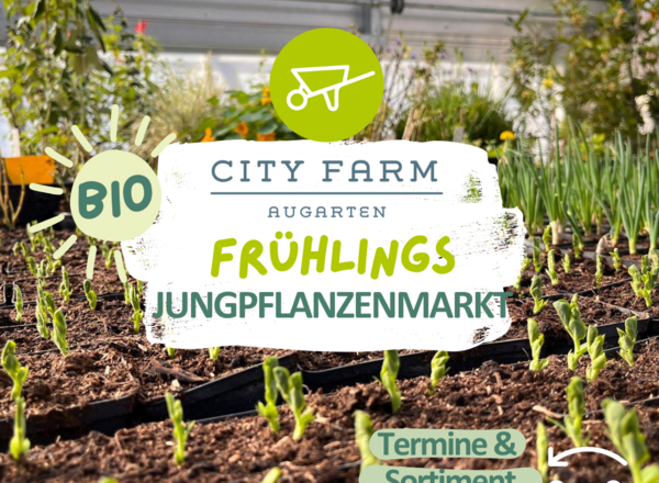 Bio Frühlingsjungpflanzenmarkt