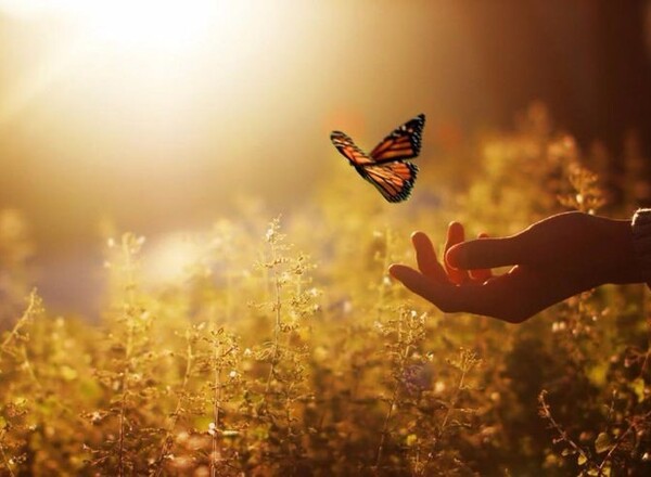 Praxis für Humanenergetik