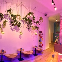 Gallery Foto