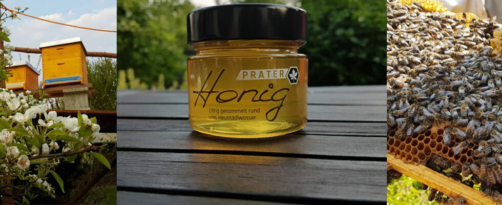 Wiener Prater-Honig (Bio-Imkerei)