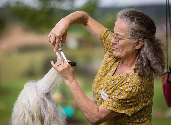 Energetischer Haarschnitt in Wien  Nähe Kagraner Platz
