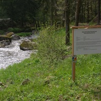 Gallery Foto